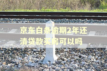 京东白条逾期2年还清贷款买房可以吗