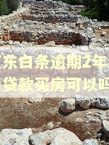 京东白条逾期2年还清贷款买房可以吗