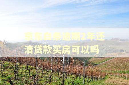 京东白条逾期2年还清贷款买房可以吗 京东白条逾期2年还清贷款买房可以吗