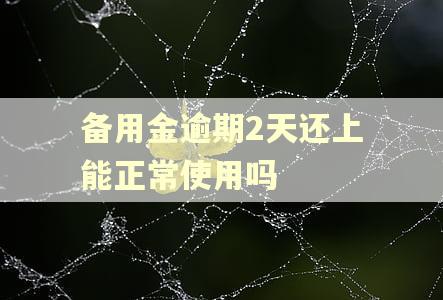备用金逾期2天还上能正常使用吗