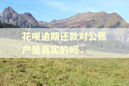花呗逾期还款对公账户是真实的吗