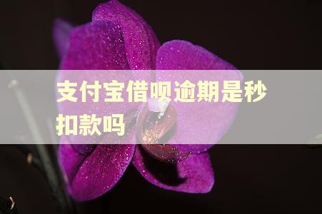支付宝借呗逾期是秒扣款吗