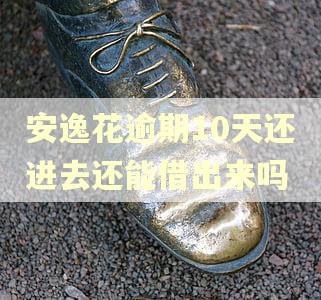 安逸花逾期10天还进去还能借出来吗