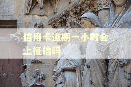 信用卡逾期一小时会上征信吗 信用卡逾期一小时会上征信吗