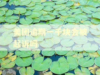 美团逾期一千块会被起诉吗