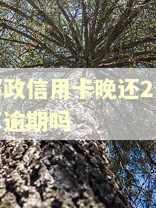 邮政信用卡晚还2天算逾期吗