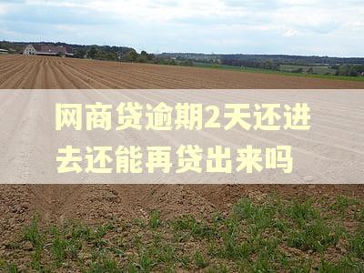 网商贷逾期2天还进去还能再贷出来吗 网商贷逾期2天还进去还能再贷出来吗