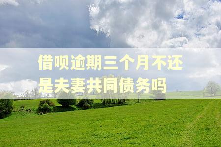借呗逾期三个月不还是夫妻共同债务吗