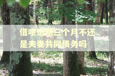借呗逾期三个月不还是夫妻共同债务吗
