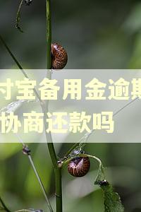 支付宝备用金逾期了,能协商还款吗