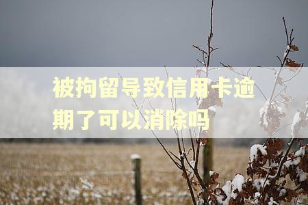 被拘留导致信用卡逾期了可以消除吗