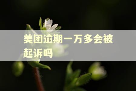 美团逾期一万多会被起诉吗