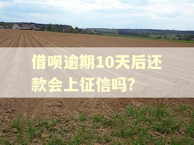 借呗逾期10天后还款会上征信吗?