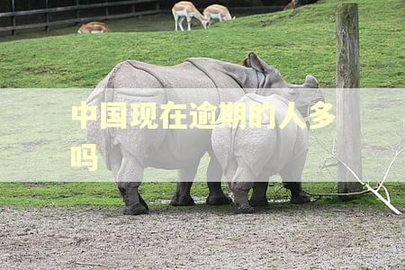 中国现在逾期的人多吗