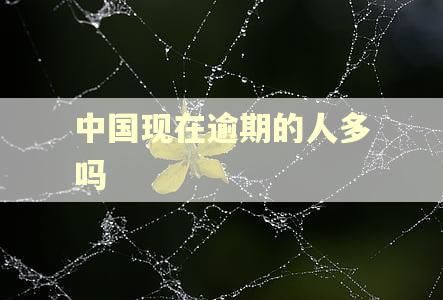 中国现在逾期的人多吗 中国现在逾期的人多吗
