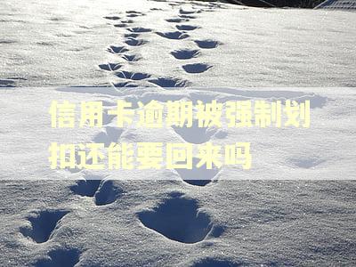 信用卡逾期被强制划扣还能要回来吗