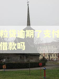 微粒贷逾期了支付宝能借款吗