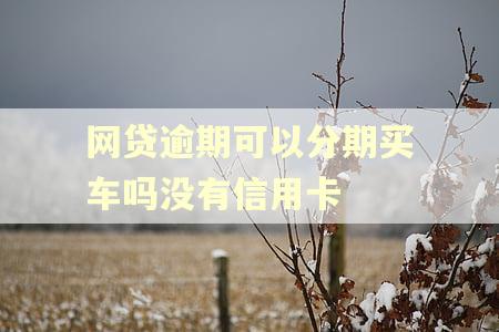 网贷逾期可以分期买车吗没有信用卡 网贷逾期可以分期买车吗没有信用卡