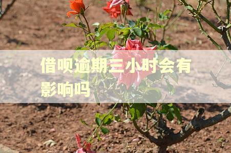 借呗逾期三小时会有影响吗