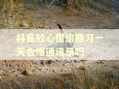 抖音放心借逾期习一天会爆通讯录吗