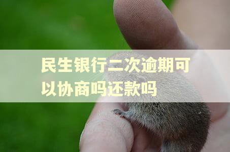 民生银行二次逾期可以协商吗还款吗