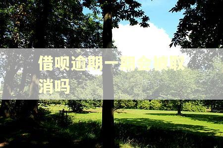 借呗逾期一期会被取消吗 借呗逾期一期会被取消吗