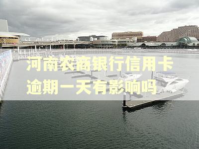 河南农商银行信用卡逾期一天有影响吗