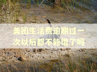 美团生活费逾期过一次以后都不能借了吗