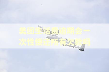 美团生活费逾期会一次性偿还所有欠款吗