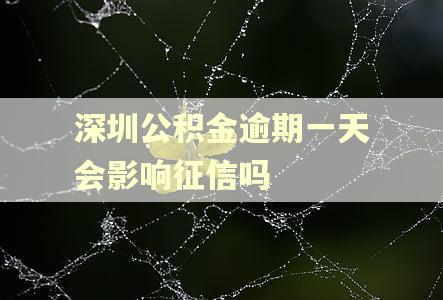 深圳公积金逾期一天会影响征信吗