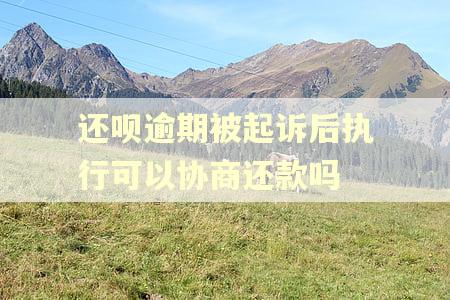 还呗逾期被起诉后执行可以协商还款吗