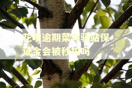 花呗逾期菜鸟驿站保证金会被秒扣吗