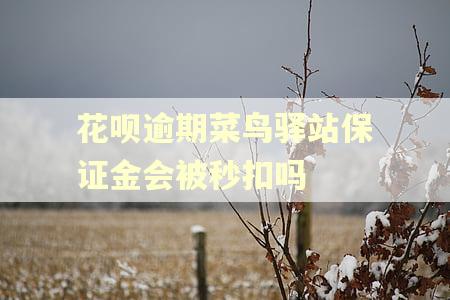花呗逾期菜鸟驿站保证金会被秒扣吗