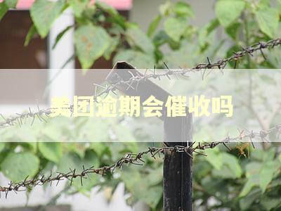美团逾期会催收吗