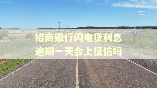 招商银行闪电贷利息逾期一天会上征信吗 招商银行闪电贷利息逾期一天会上征信吗