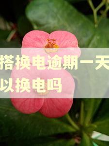 铁搭换电逾期一天还可以换电吗
