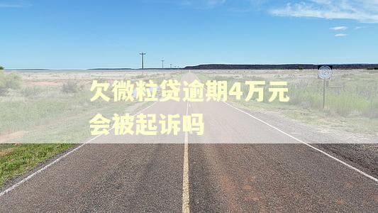 欠微粒贷逾期4万元会被起诉吗