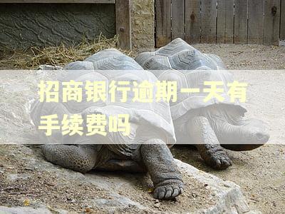 招商银行逾期一天有手续费吗