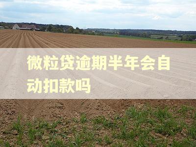 微粒贷逾期半年会自动扣款吗 微粒贷逾期半年会自动扣款吗
