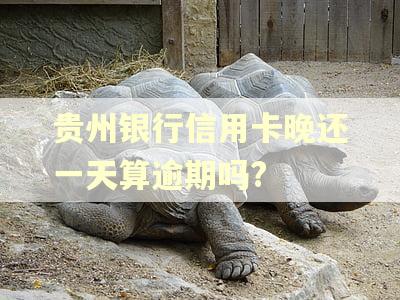 贵州银行信用卡晚还一天算逾期吗? 贵州银行信用卡晚还一天算逾期吗?