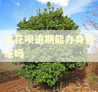 欠花呗逾期能办身份证吗