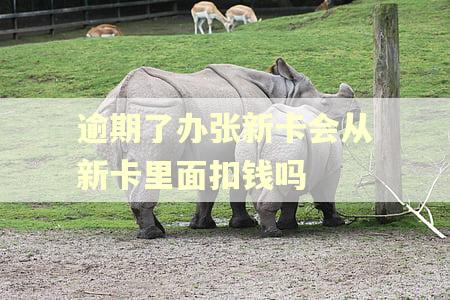 逾期了办张新卡会从新卡里面扣钱吗