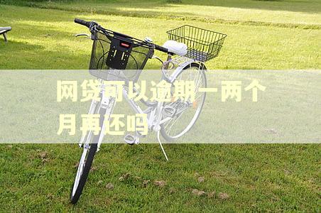 网贷可以逾期一两个月再还吗