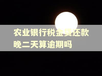 农业银行税金贷还款晚二天算逾期吗