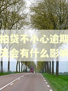 拍拍贷不小心逾期了一天会有什么影响吗 拍拍贷不小心逾期了一天会有什么影响吗