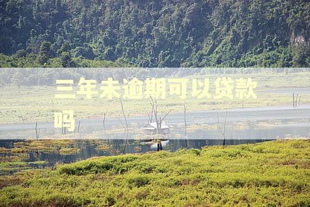 三年未逾期可以贷款吗