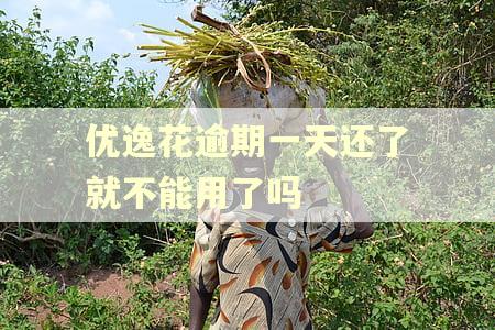 优逸花逾期一天还了就不能用了吗
