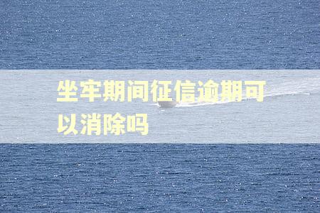 坐牢期间征信逾期可以消除吗
