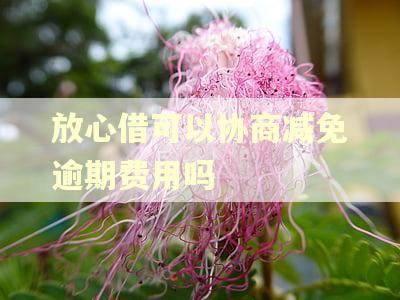 放心借可以协商减免逾期费用吗