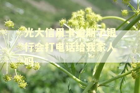 光大信用卡逾期了银行会打电话给我家人吗